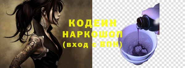 шишки Приозерск