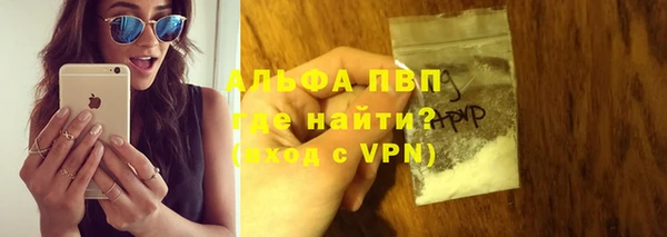 шишки Приозерск