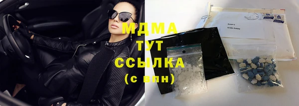 шишки Приозерск