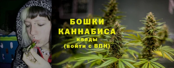 шишки Приозерск